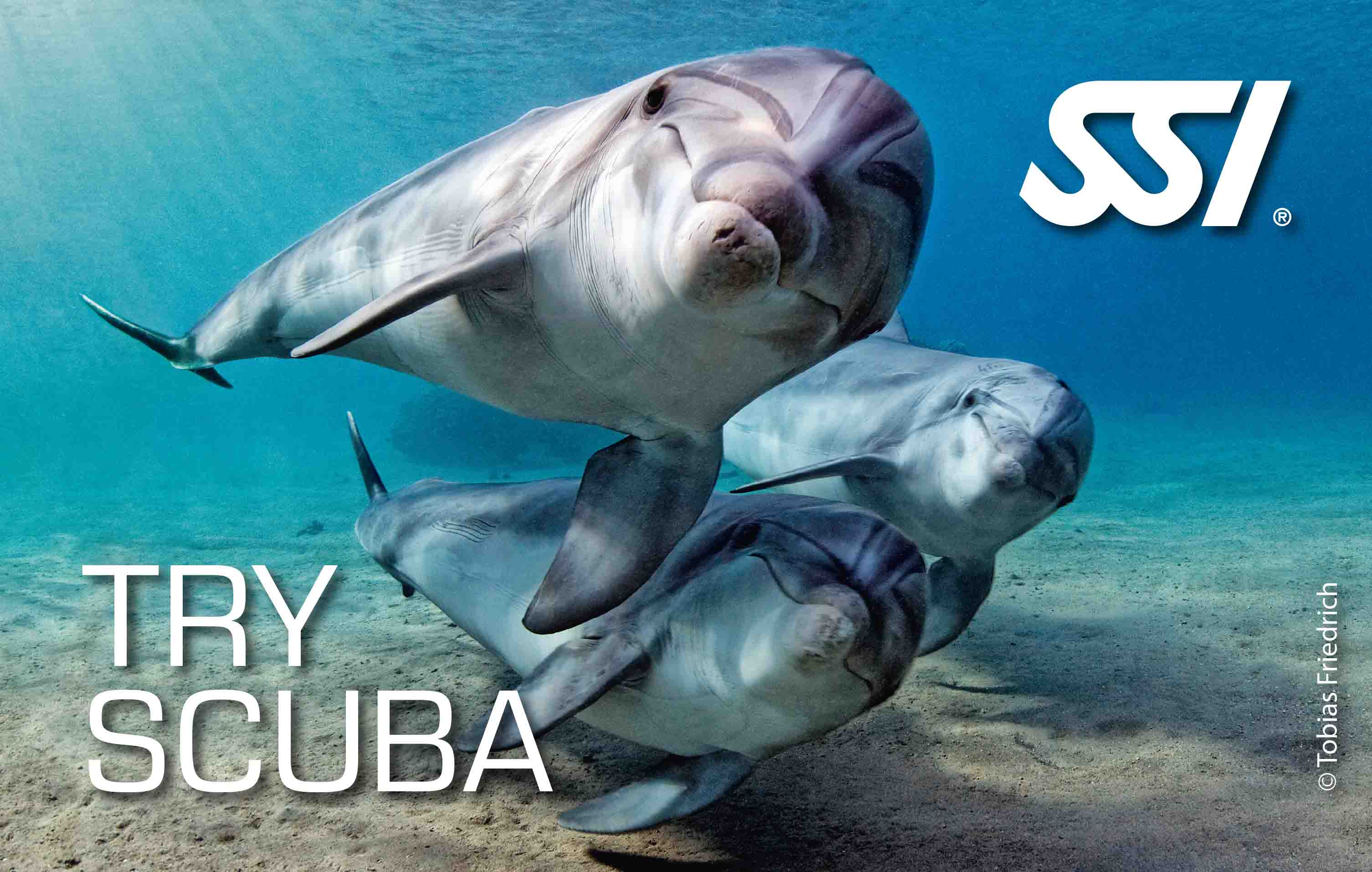 Try Scuba (Baptême)