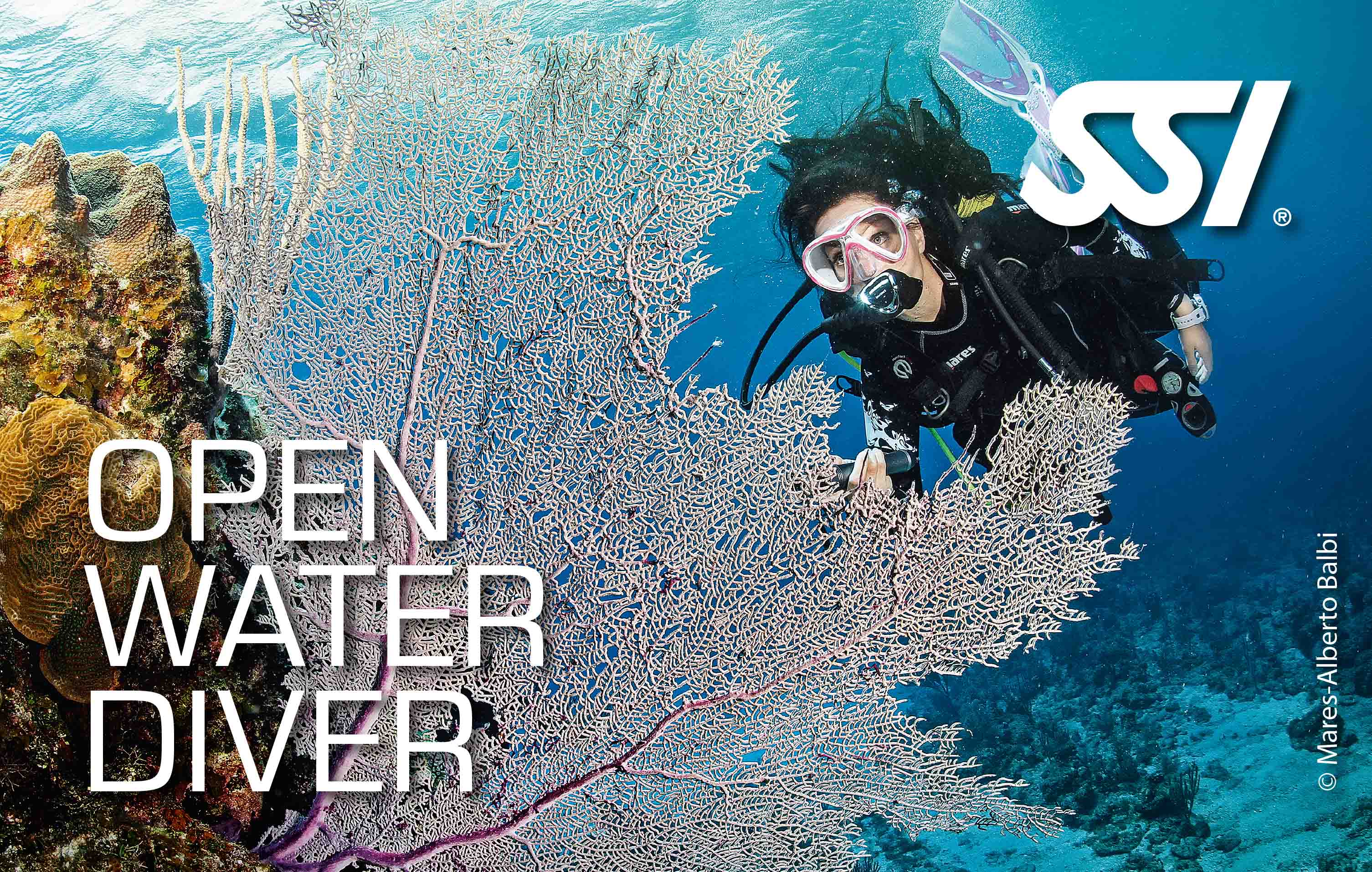 Open Water Diver : Niveau 1