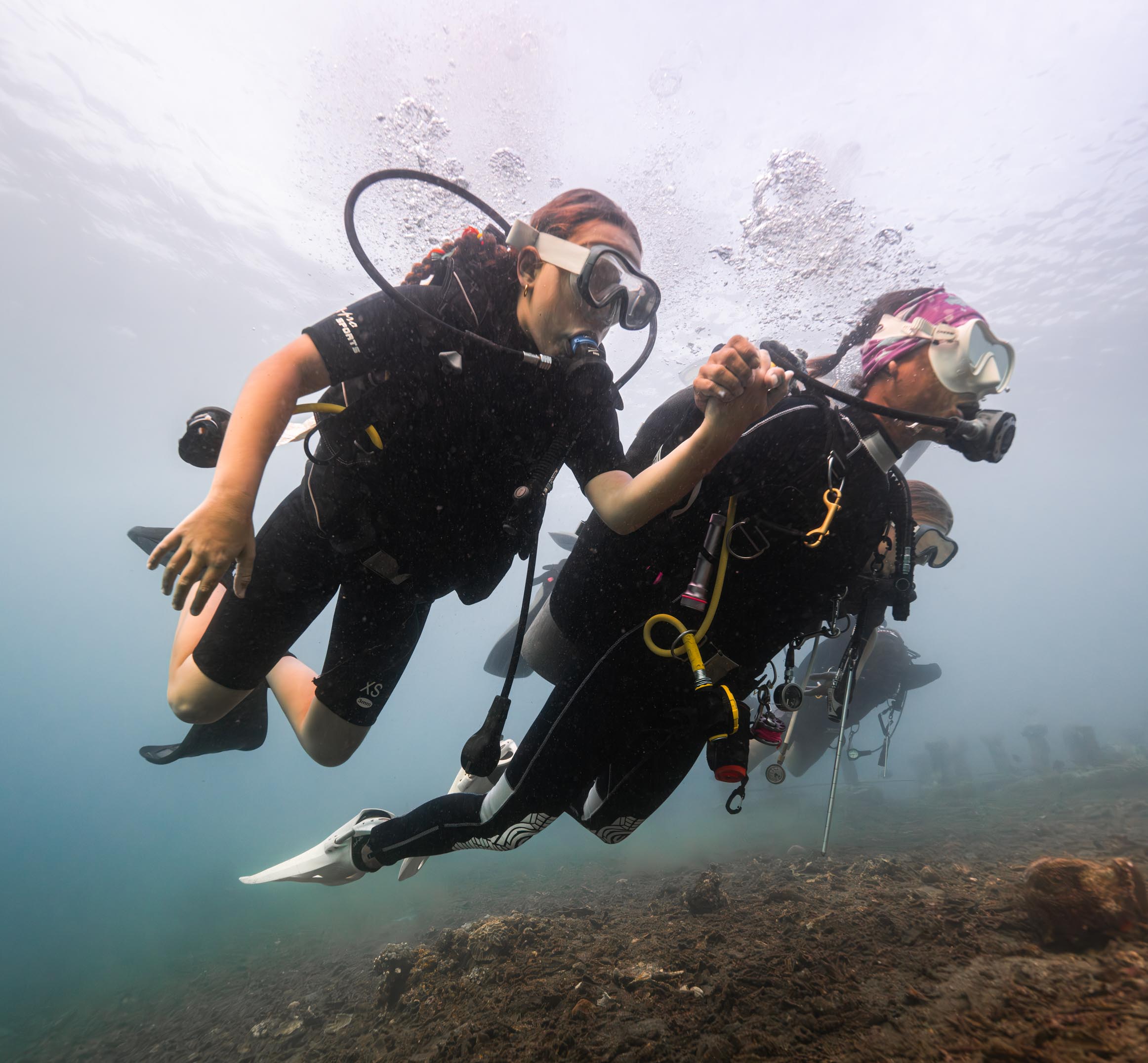Welcome to Evolution Diver, a french and english diving club in Amed, Bali