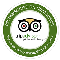 evolution diver TripAdvisor