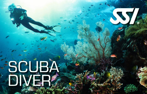 02 scuba diver title