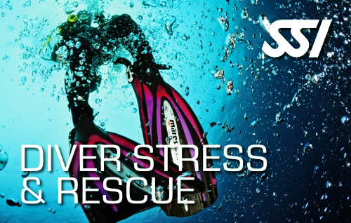 06 diver stress rescue title