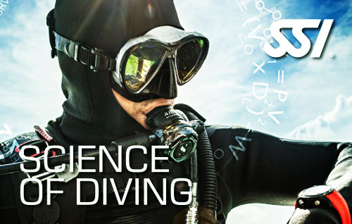 11 science of diving title