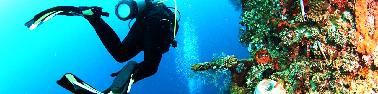 article 5 site de plongee dive site epave wreck usat liberty tulamben bali